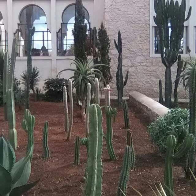 Les Jardins De Mogador Yoga Et Spa Essaouira Exterior photo